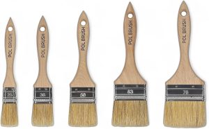 Natural Bristle Brushes