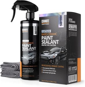 Paint Sealants