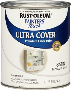 Latex Paint