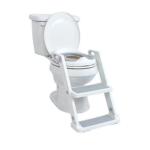 Best Potty Training Seat with Ladder
