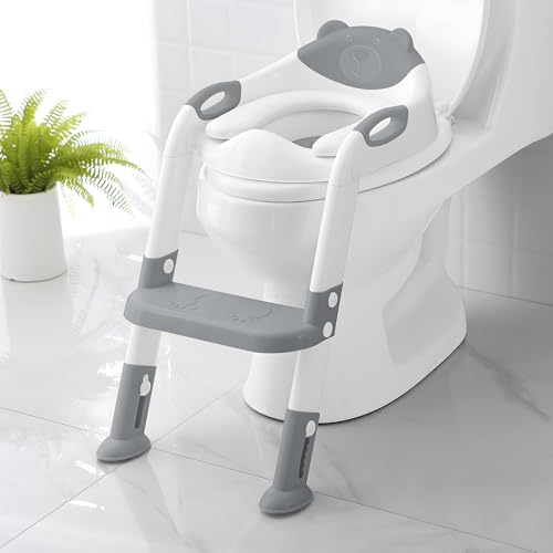 Best Potty Seat With Ladder