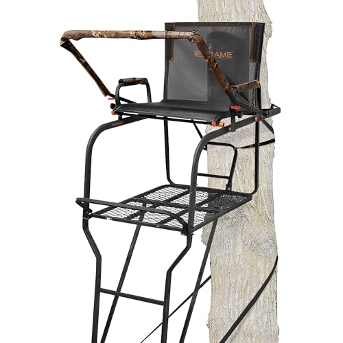 Best Bow Hunting Ladder Stand